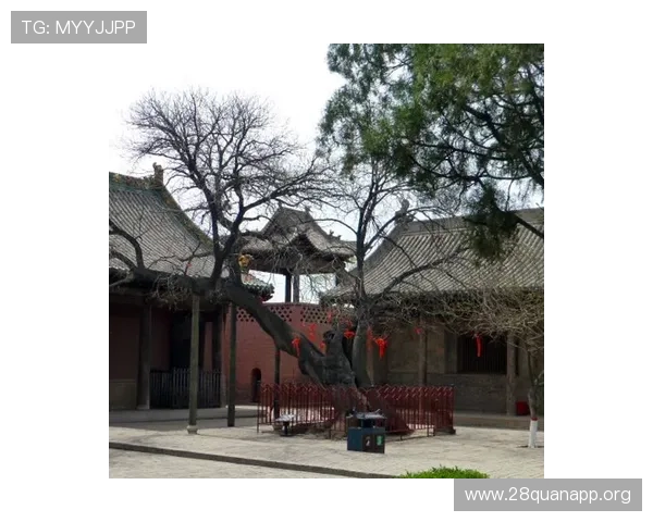 壹号南宫：南宫旅游景点推荐与特色文化体验全攻略