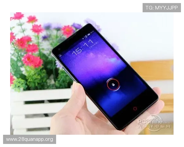 FB体育网站的多平台支持情况,手机端与PC端的无缝切换体验详解