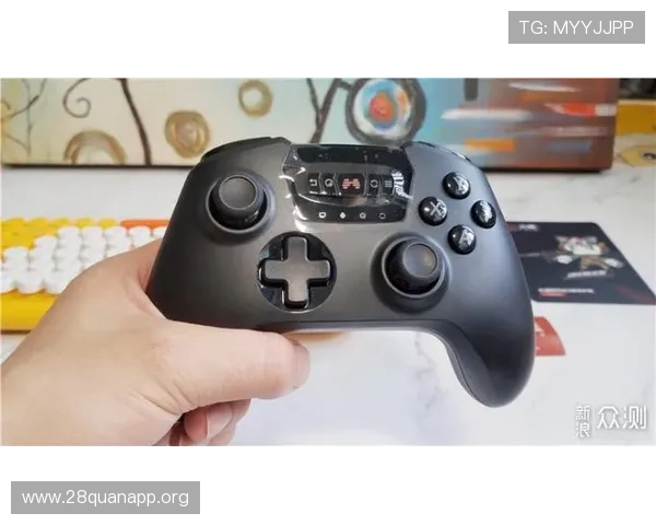 南宫NG官方入口导航指南，帮助新手快速找到正规登录地址畅玩游戏